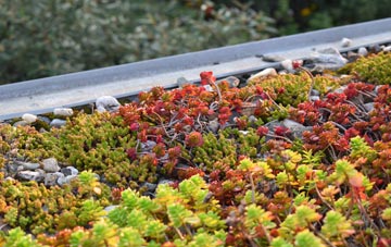 the cost of Low Knipe green roof installation