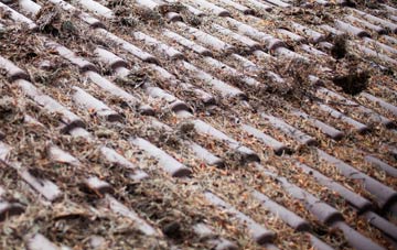 Low Knipe roof cleaning companies